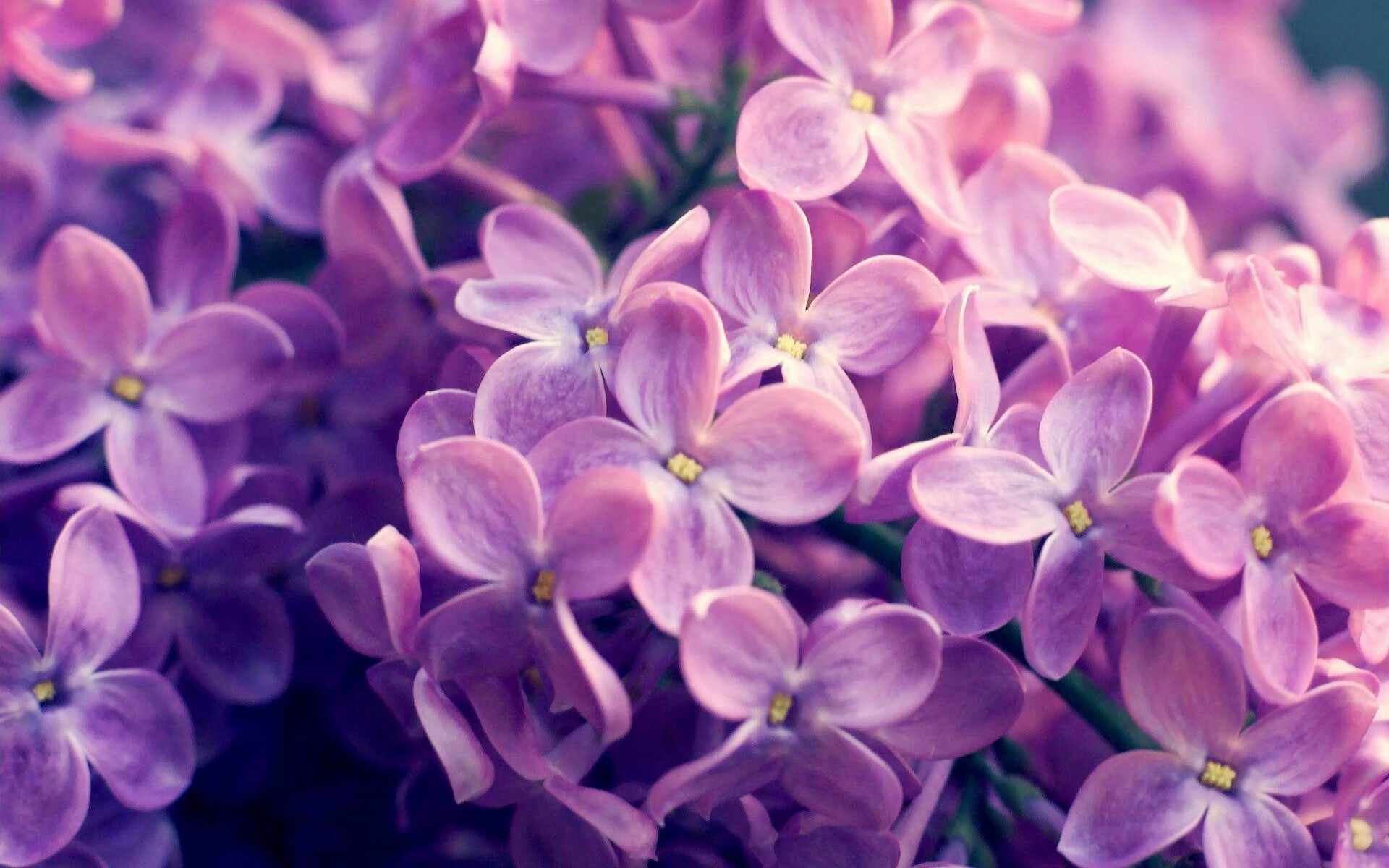 乐鱼体育APP官方下载-“东部新区定向越野：在大自然中与时间赛跑”