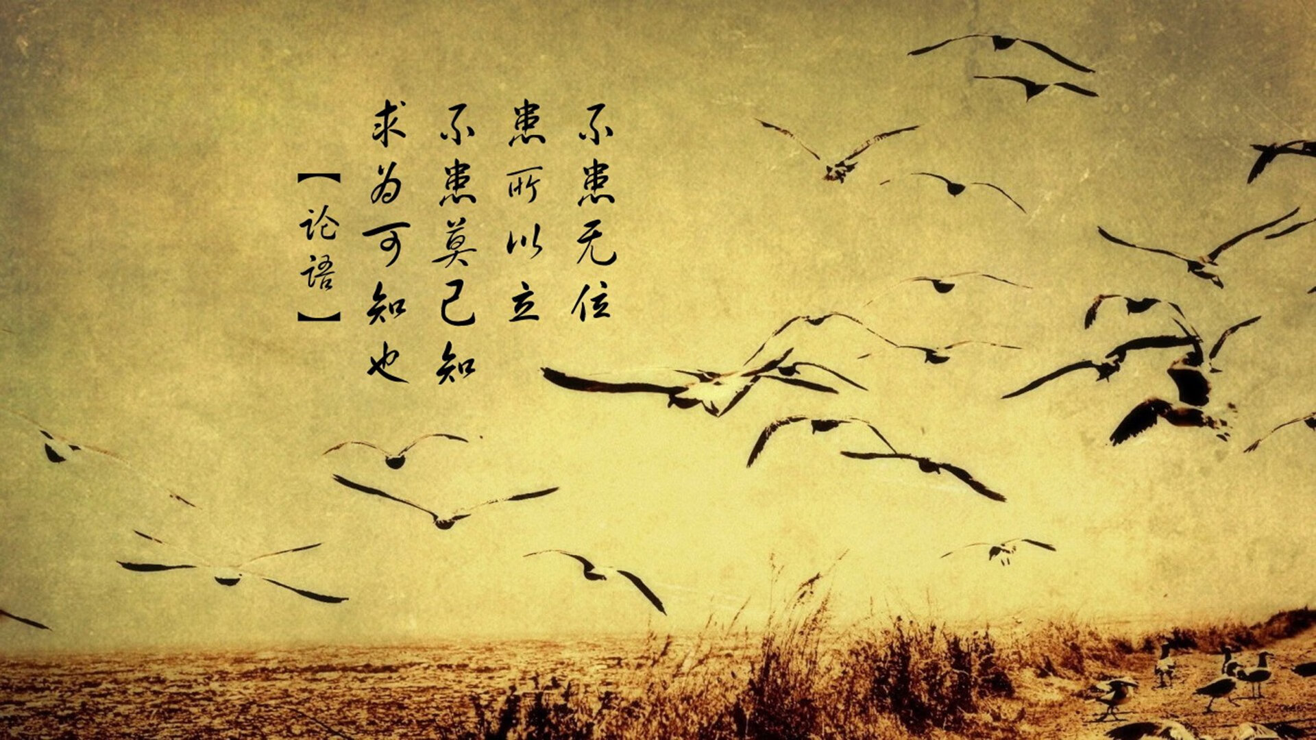 乐鱼官方登录入口-“拳击巅峰对决，四川省体育馆引爆全场！”