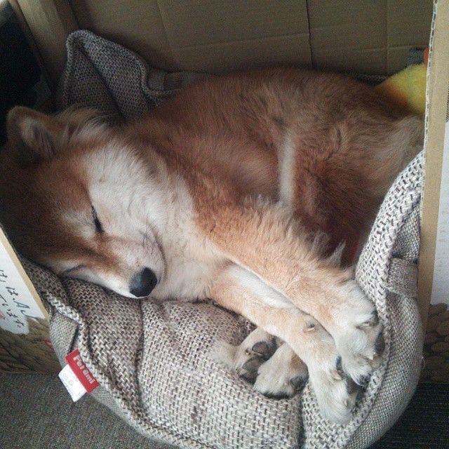 曼联主帅要求球队保持防守纪律,曼联队的么