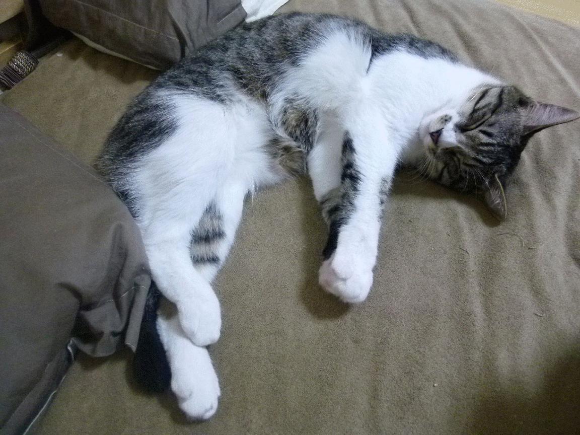 水球关键场次吉尔吉斯斯坦团结应对,吉尔吉斯斯坦水资源丰富的原因